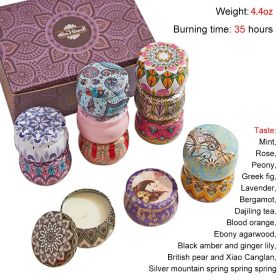 Chrstmas Gifts Vintage Scented Candles Set Flower Jar Candle Fragrance Soy Wax Natural Candle With Tin Can Wedding Birthday Home (Color: Set H-12PCS)