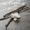 Santal 74 Soy Candle