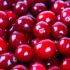 Spiced Cranberry Soy Candle